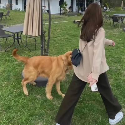 穿粉红色裤子的男孩
